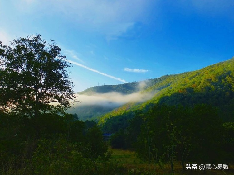 慧心易数：什么数字磁场会暴露你极端的脾气性格