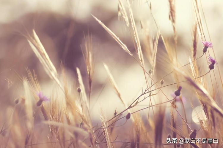 微信式的爱情：见面好说分手一段感情才能真正的结束