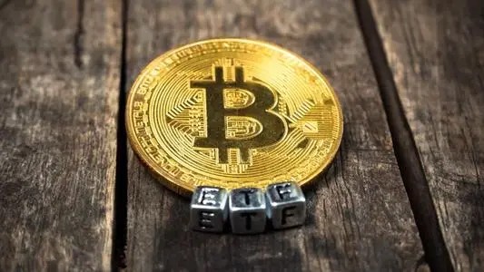 巴西比特币大王侵吞客户3亿美元受到了什么样的惩罚