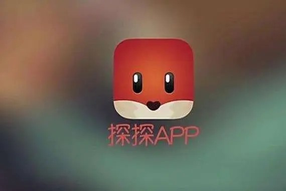 探探是什么？
